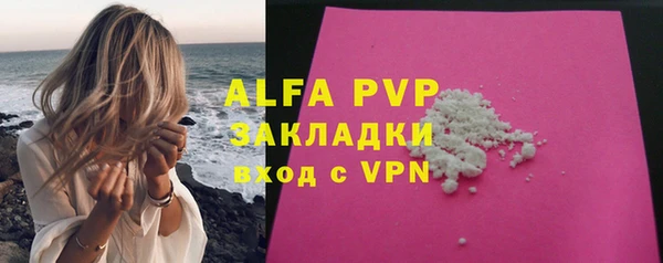 шишки Алзамай