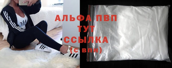 СК Алексин