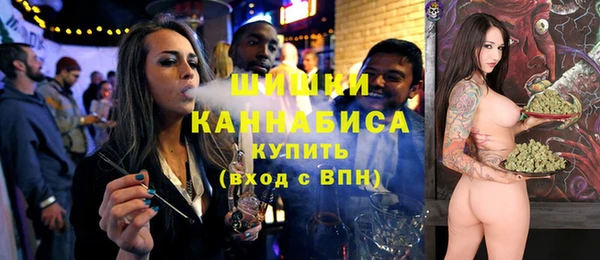 шишки Алзамай