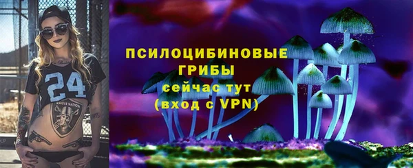 шишки Алзамай