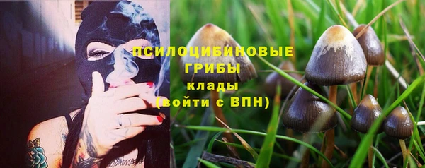 шишки Алзамай