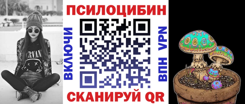 Галлюциногенные грибы Psilocybe  Старая Купавна 
