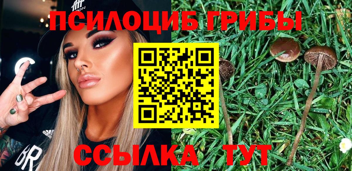 Галлюциногенные грибы мухоморы  Вход с VPN  Старая Купавна 